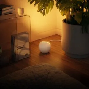 Single Ambient Light
